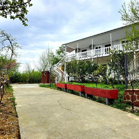 Hilltop Guest House Кутаїсі Екстер'єр фото