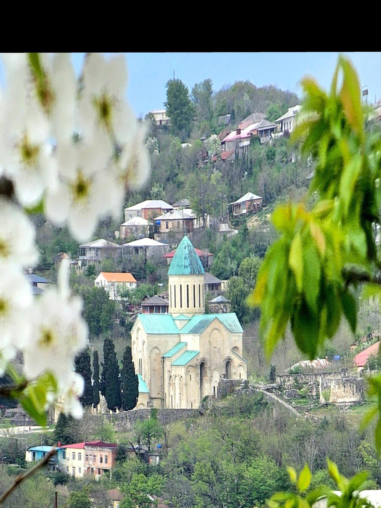 Hilltop Guest House Кутаїсі Екстер'єр фото