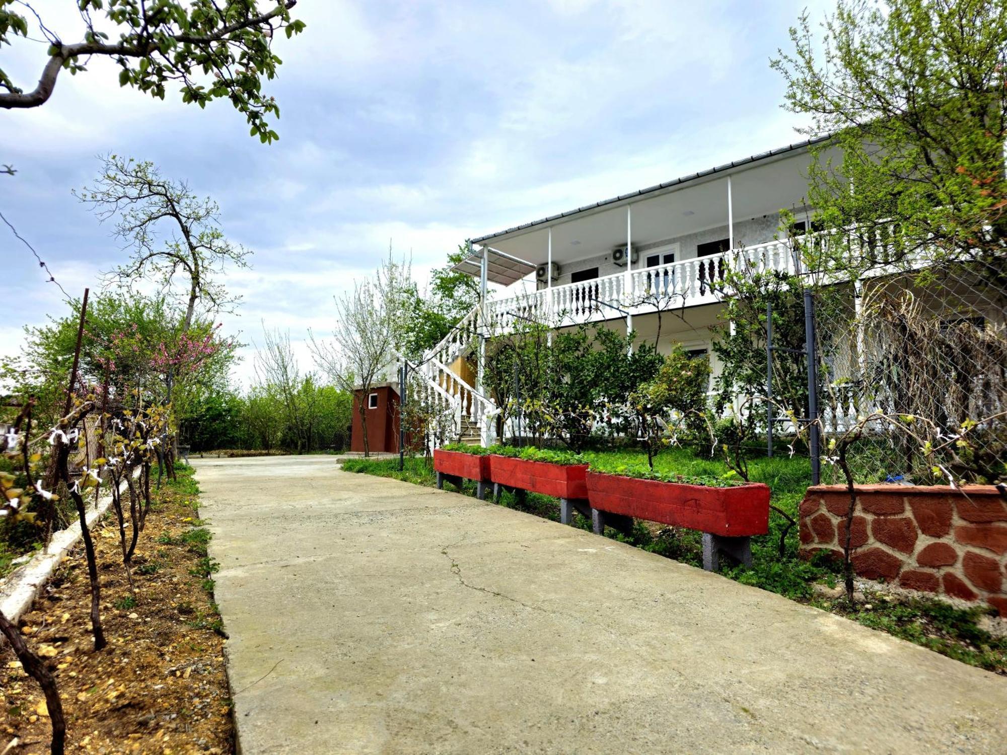 Hilltop Guest House Кутаїсі Екстер'єр фото